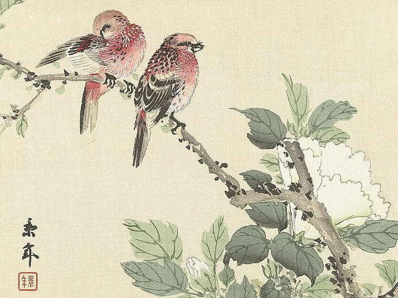 1845-Imao Keinen - Illustrazione di due uccelli rossi e un fiore bianco